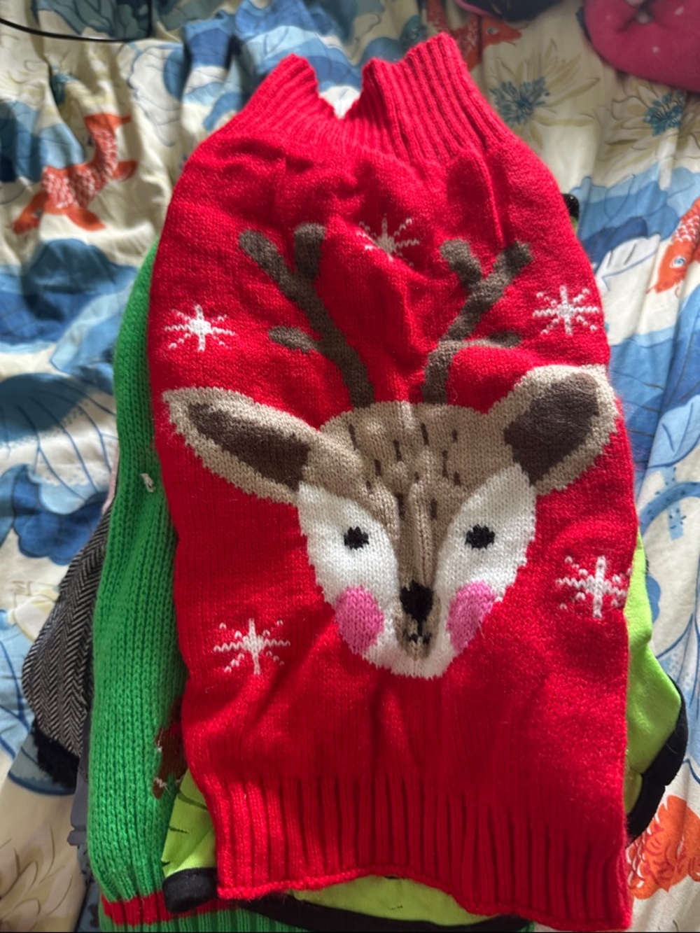 11 pieces of dog clothes - Picture 10 of 12